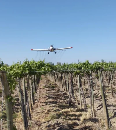 Un avión del Iscamen sobrevuela los viñedos mendocinos durante el operativo de tratamiento aéreo contra la Lobesia botrana.