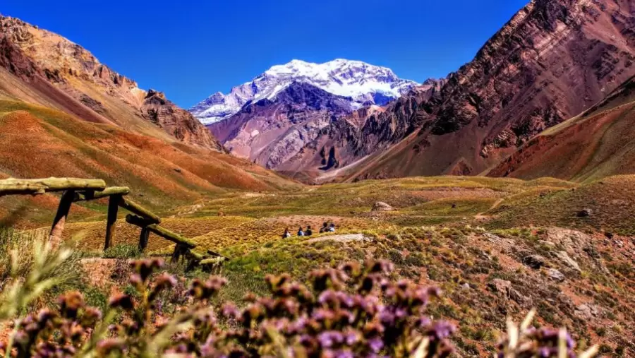 A los visitantes no argentinos se les exigirá contar con seguro de vida.