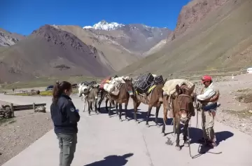El Aconcagua abre sus puertas con controles y nuevas exigencias de seguridad