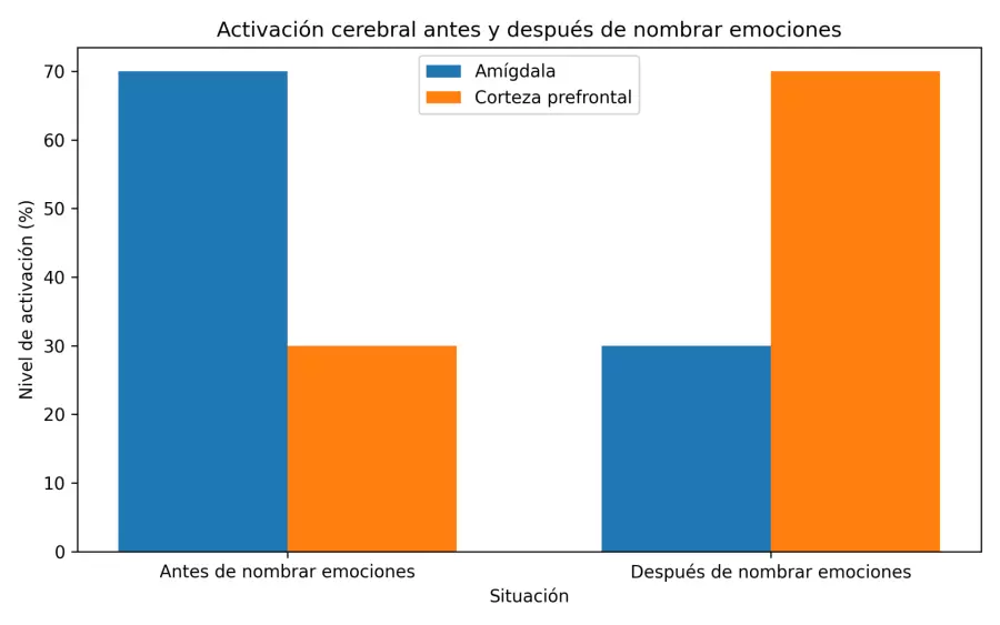 brain_activity_chart
