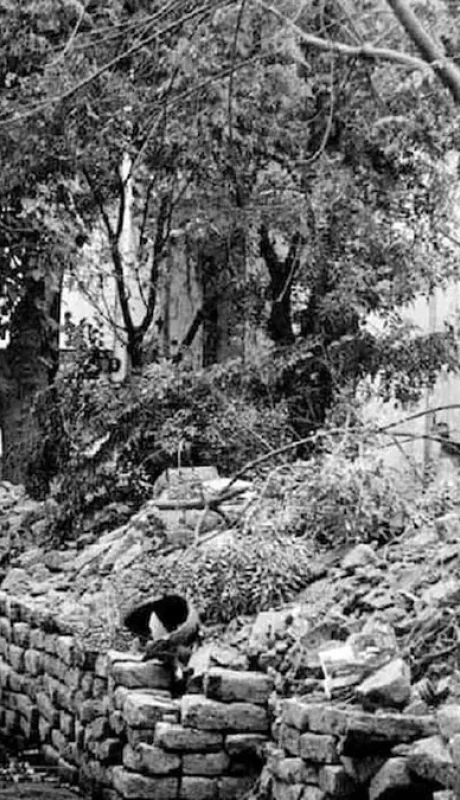 El día después del 26 de enero de 1985. Una Mendoza arrasada por el terremoto.