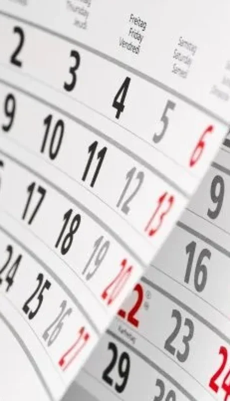 Feriado de noviembre/ Fuente: Web