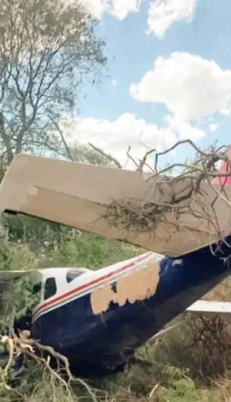 Cayó una avioneta con más de 130 kilos de cocaína/ Fuente: Web
