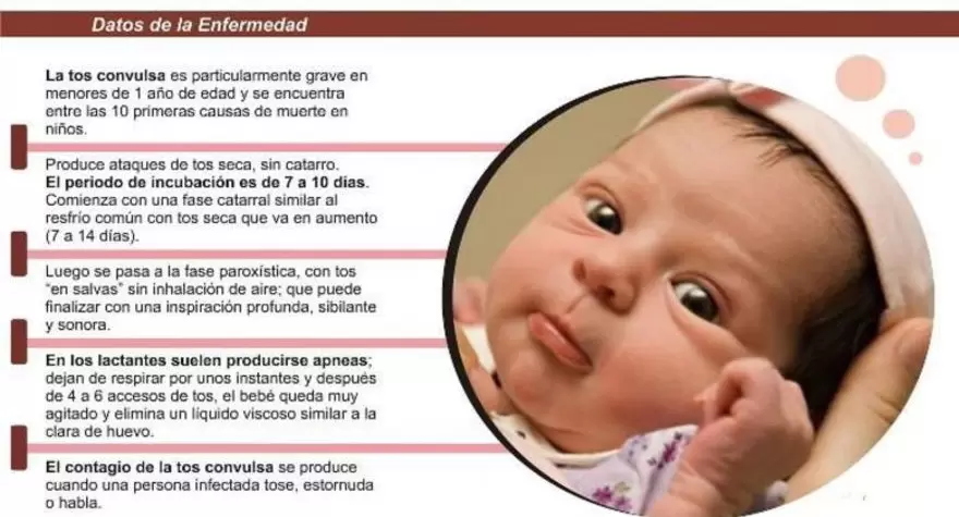 Tos convulsa