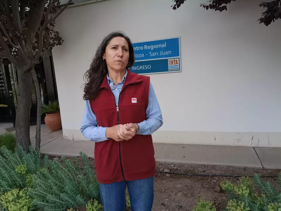 Laura Lafalla, especialista de la Estación Experimental INTA Luján de Cuyo.