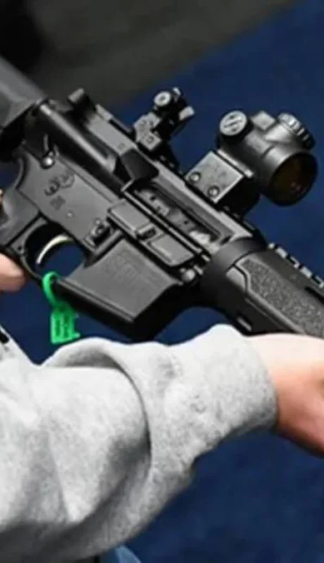 "El interesado debe hacer un curso habilitado por un instructor de tiro inscripto en ANMAC, antiguamente Renar" (F. Calabró)