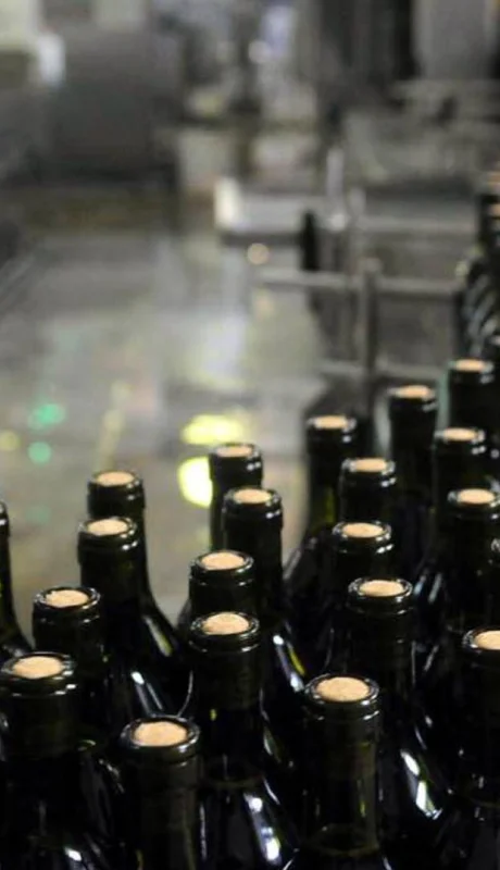 Imagen ilustrativa (archivo web)