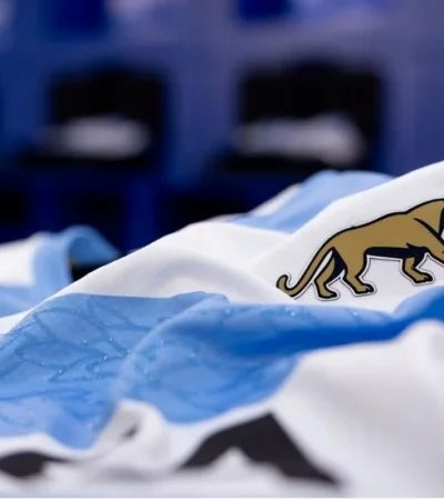 Argentina enfrenta a Gales en el inicio de la ventana internacional de noviembre