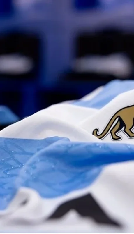 Argentina enfrenta a Gales en el inicio de la ventana internacional de noviembre