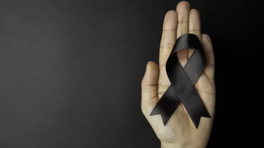 imagen ilustrativa (web)