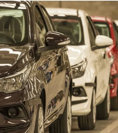 En el acumulado a octubre de 2025 ya se patentaron 552.484 unidades, un crecimiento del 55,1% con respecto al mismo período de 2024.