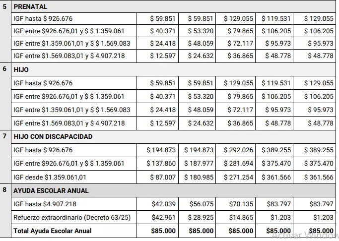 En la página oficial de ANSES están todas las tablas completas y actualizadas