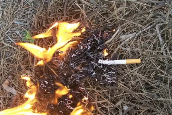 El descuido y la negligencia es la causa principal de los incendios