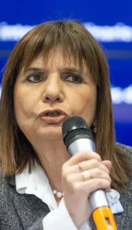 La ministra de Seguridad, Patricia Bullrich, le hizo un pedido a la Justicia / Fuente: X