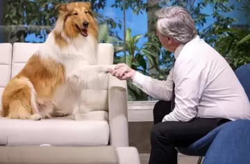 Alberto Fernández despidió a su perro Dylan con un mensaje cargado de emoción