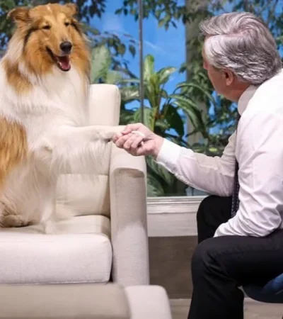 La despedida de Dylan expresa un lazo que traspasó la función pública de Fernández, convirtiendo al perro en su "compañero" emocional.