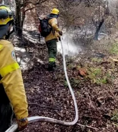 Incendios forestales
