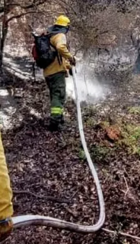 Incendios forestales