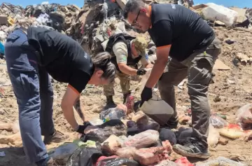 Carne en mal estado: decomisaron 200 kilos en un sorpresivo operativo en Las Heras