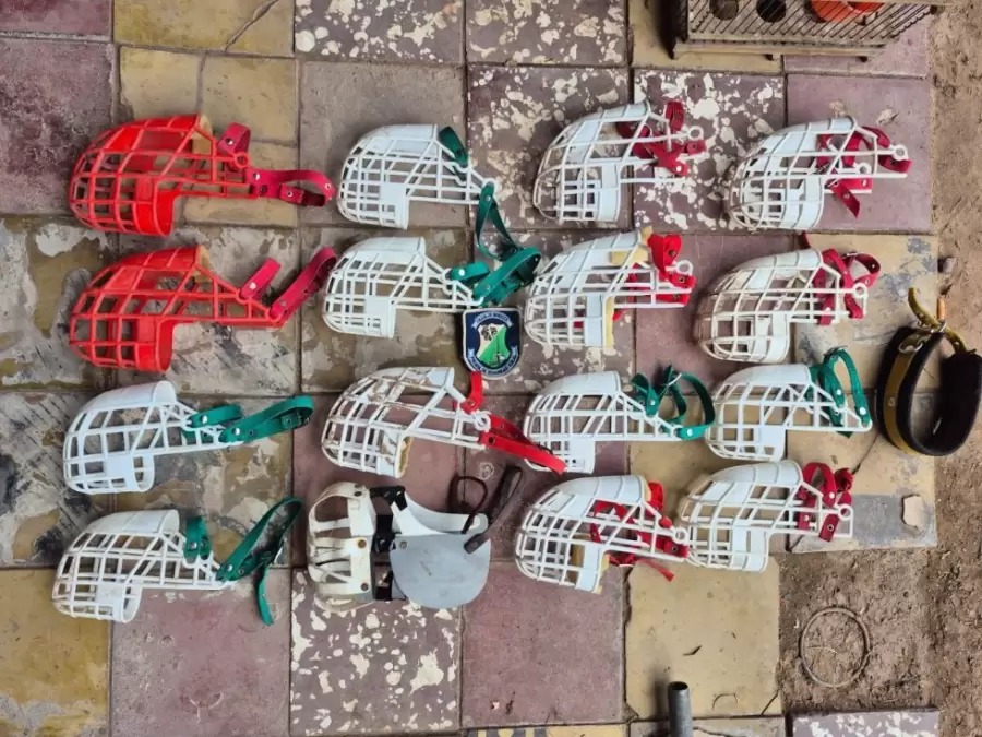 Carrera de galgos clandestinas/ Fuente: Ministerio de Seguridad