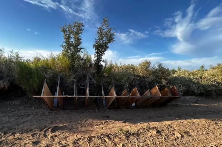 Carrera de galgos clandestinas/ Fuente: Ministerio de Seguridad