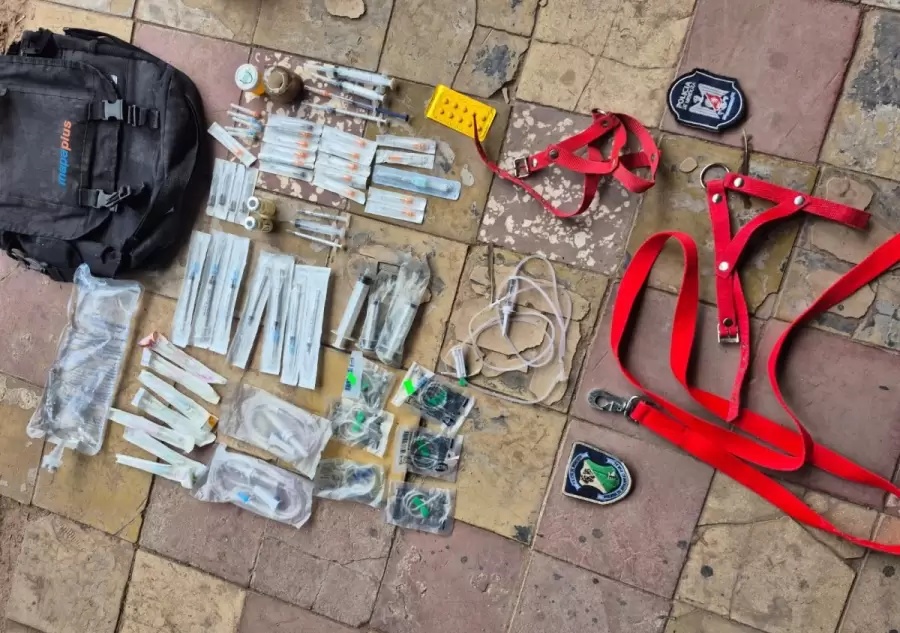 Carrera de galgos clandestinas/ Fuente: Ministerio de Seguridad