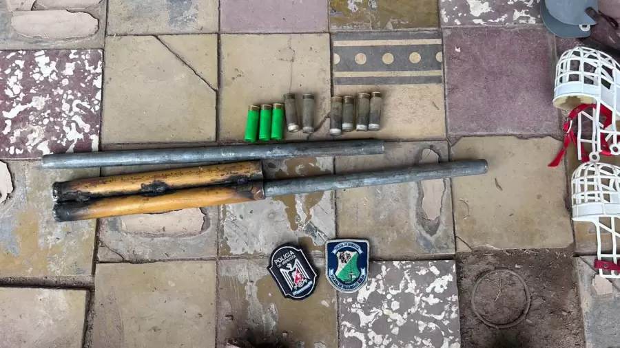 Carrera de galgos clandestinas/ Fuente: Ministerio de Seguridad