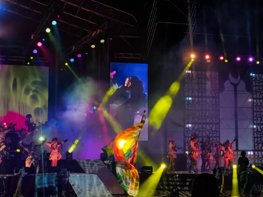 Vendimia de San Carlos/ Fuente: Prensa