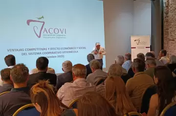 El impacto de las cooperativas vitivinícolas: un modelo que sostiene a Mendoza