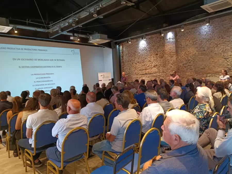 imagen de whatsapp 2025-11-17 a las 13.52.52_2a5a3799