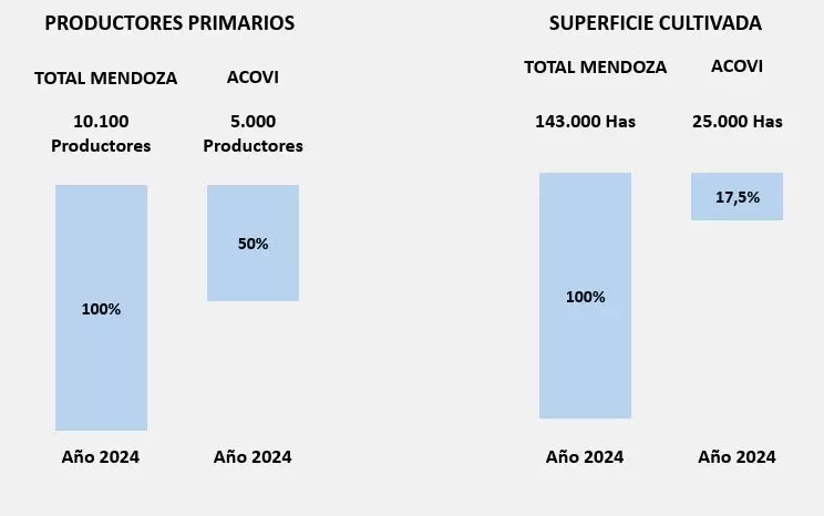 participación de las cooperativas