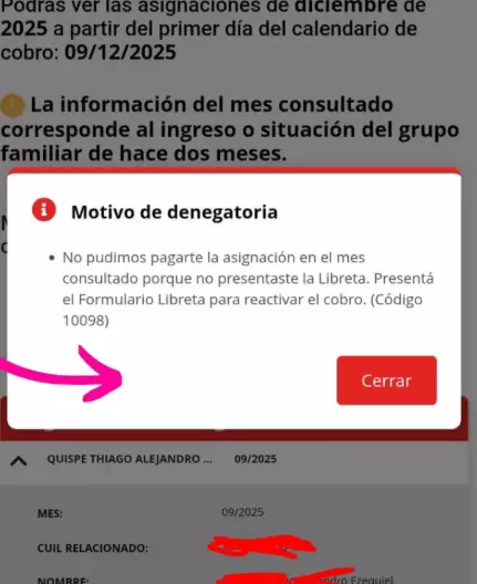 El mensaje que recibieron los titulares que no entregaron la libreta AUH en 2024.