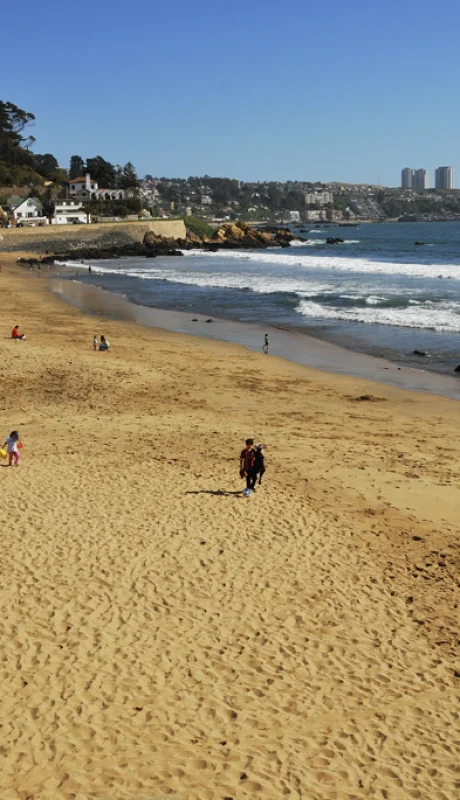 Playa Amarilla es un balneario en Concón, conocido por su arena clara, oleaje suave y ambiente tranquilo.