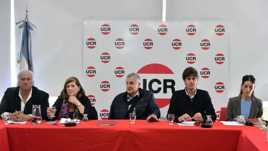 Integrantes del comité nacional radical