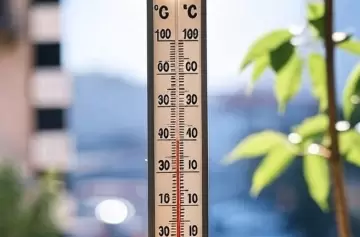 Semana sofocante en Mendoza: quiénes están más expuestos y cómo evitar los golpes de calor