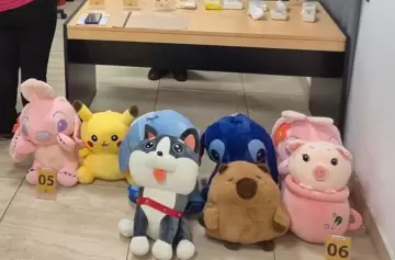 Insólito: decomisaron un cargamento de cocaína oculto en peluches