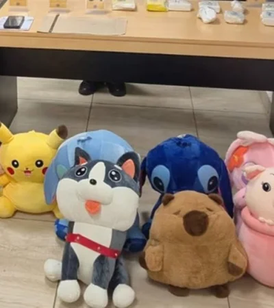 Una mujer boliviana, la presunta responsable de la droga.