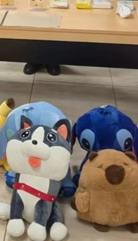 Una mujer boliviana, la presunta responsable de la droga.