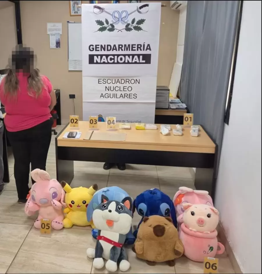 Era un tour de compras con rumbo a Mendoza. Pero llevaba unos peluches un tanto particulares.