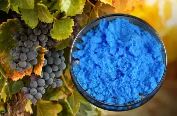 Cobre mendocino de San Romeleo busca favorecer a la vid y estabilizar los precios