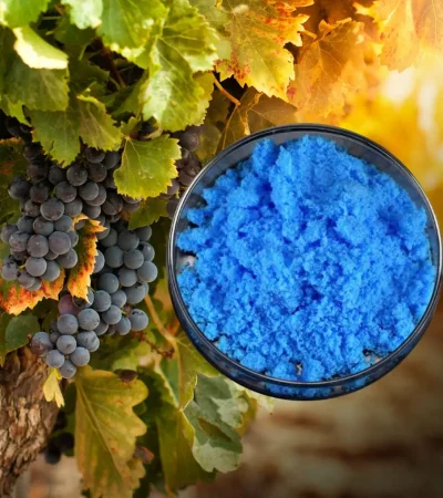 Propiedades fungicidas