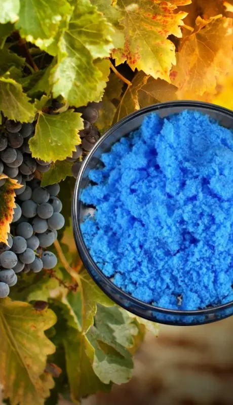 Propiedades fungicidas