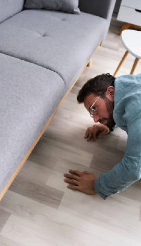 Nos volvemos locos, porque no encontramos "eso". Calma: el cerebro te juega una mala pasada.