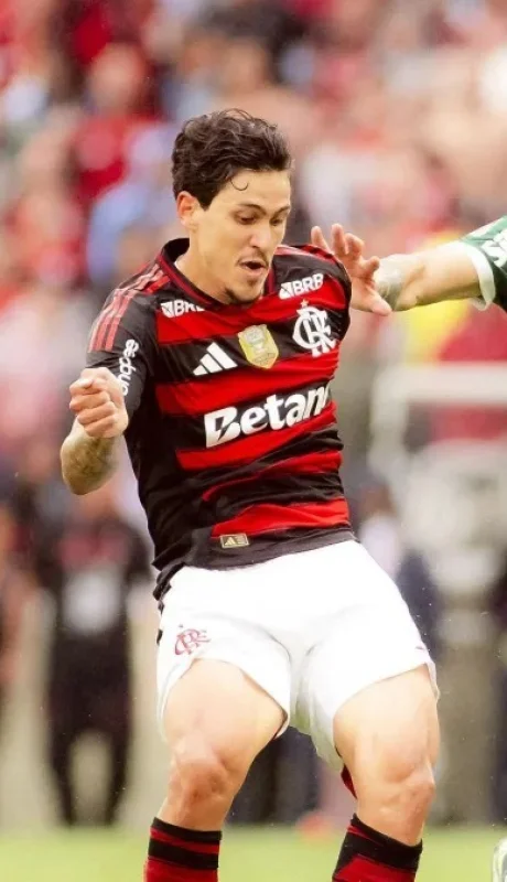 Palmeiras y Flamengo buscarán un nuevo título continental.