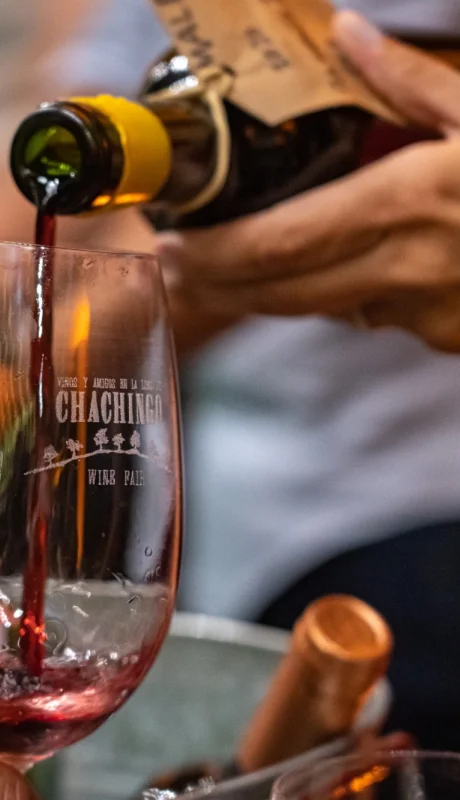 Chachingo Wine Fair