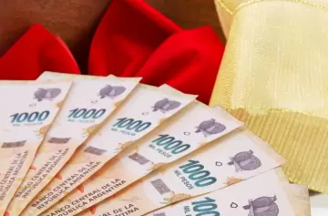 Cuándo se paga el aguinaldo de ANSES en diciembre 2025 y de cuánto es