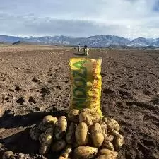 Producción de papas