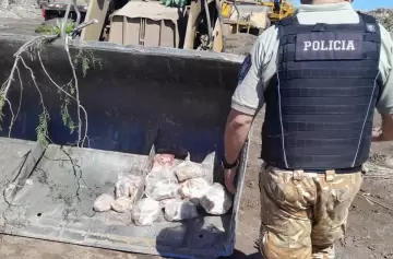 Abigeato: cómo hizo Mendoza para incautar más de 12 toneladas de carne de procedencia dudosa