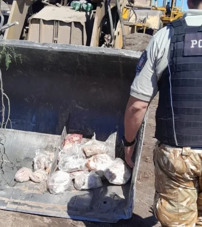 A la fecha se han superado las 12 toneladas de carne secuestrada en diferentes procedimientos realizados en toda la provincia de Mendoza.
