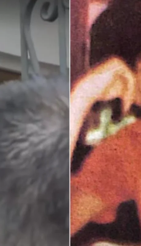 Cristian Graf (izquierda) es acusado del homicidio de Diego Fernández Lima (derecha) hace más de 40 años.